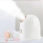 Beauty Steamer