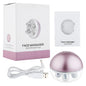 USB rechargeable electric face massager with user manual and charging cable, designed for lifting and smoothing skin.